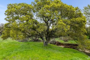 Residential Acreage,  Highway 12 none, Napa, CA 94558 - 26