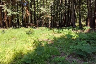 Residential Lot,  Joy Ridge road, Occidental, CA 95465 - 5