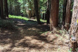 Residential Lot,  Joy Ridge road, Occidental, CA 95465 - 4