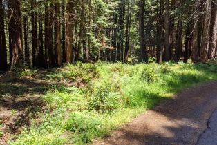 Residential Lot,  Joy Ridge road, Occidental, CA 95465 - 6