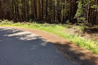 Residential Lot,  Joy Ridge road, Occidental, CA 95465 - 7