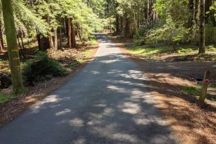 Residential Lot,  Joy Ridge road, Occidental, CA 95465 - 8