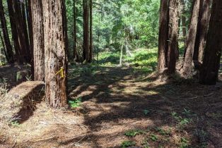 Residential Lot,  Joy Ridge road, Occidental, CA 95465 - 3