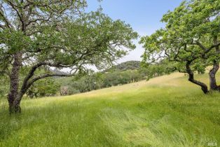 Single Family Residence,  Bags boulevard, Sonoma, CA 95476 - 67