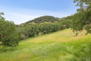 Single Family Residence,  Bags boulevard, Sonoma, CA 95476 - 66