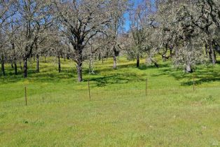 Single Family Residence, 572 Petrified Forest road, Calistoga, CA 94515 - 42