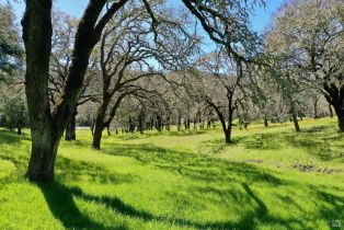 Single Family Residence, 572 Petrified Forest road, Calistoga, CA 94515 - 22