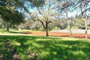 Single Family Residence, 572 Petrified Forest road, Calistoga, CA 94515 - 81