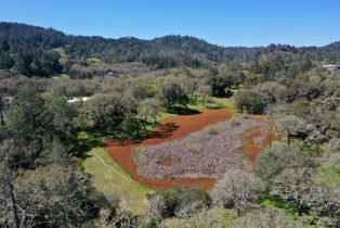 Single Family Residence, 572 Petrified Forest road, Calistoga, CA 94515 - 11