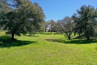 Single Family Residence, 572 Petrified Forest road, Calistoga, CA 94515 - 3