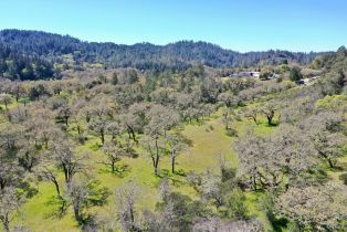 Single Family Residence, 572 Petrified Forest road, Calistoga, CA 94515 - 76