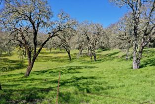 Single Family Residence, 572 Petrified Forest road, Calistoga, CA 94515 - 24