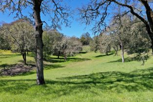 Single Family Residence, 572 Petrified Forest road, Calistoga, CA 94515 - 2