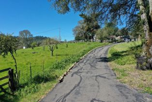 Single Family Residence, 572 Petrified Forest road, Calistoga, CA 94515 - 10