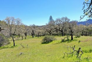 Single Family Residence, 572 Petrified Forest road, Calistoga, CA 94515 - 75