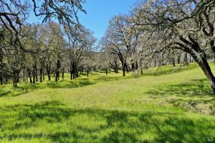 Single Family Residence, 572 Petrified Forest road, Calistoga, CA 94515 - 64