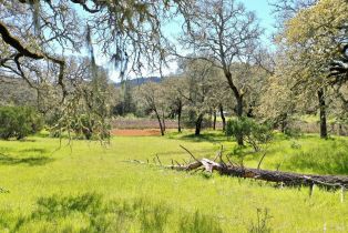 Single Family Residence, 572 Petrified Forest road, Calistoga, CA 94515 - 72