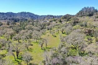 Single Family Residence, 572 Petrified Forest road, Calistoga, CA 94515 - 77