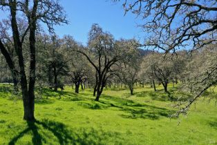 Single Family Residence, 572 Petrified Forest road, Calistoga, CA 94515 - 18