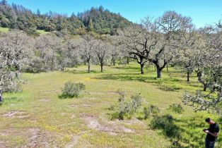 Single Family Residence, 572 Petrified Forest road, Calistoga, CA 94515 - 80