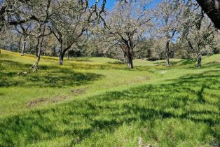 Single Family Residence, 572 Petrified Forest road, Calistoga, CA 94515 - 65