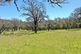 Single Family Residence, 572 Petrified Forest road, Calistoga, CA 94515 - 73