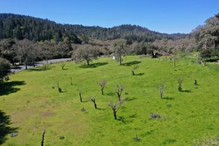 Single Family Residence, 572 Petrified Forest road, Calistoga, CA 94515 - 19