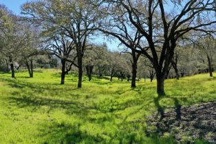 Single Family Residence, 572 Petrified Forest road, Calistoga, CA 94515 - 39