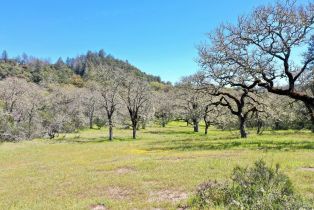 Single Family Residence, 572 Petrified Forest road, Calistoga, CA 94515 - 74