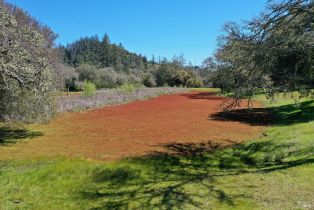 Single Family Residence, 572 Petrified Forest road, Calistoga, CA 94515 - 6