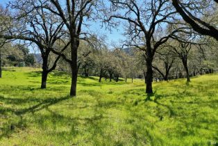 Single Family Residence, 572 Petrified Forest road, Calistoga, CA 94515 - 66