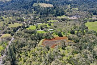 Single Family Residence, 572 Petrified Forest road, Calistoga, CA 94515 - 57