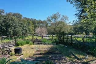 Single Family Residence, 572 Petrified Forest road, Calistoga, CA 94515 - 45