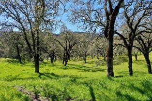 Single Family Residence, 572 Petrified Forest road, Calistoga, CA 94515 - 38