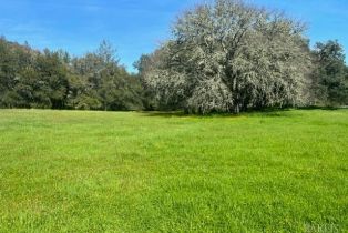 Single Family Residence, 572 Petrified Forest road, Calistoga, CA 94515 - 85