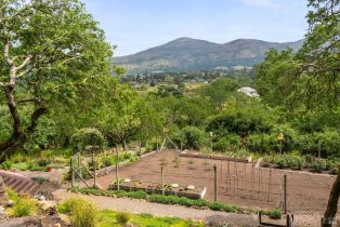 Single Family Residence,  1st avenue, Napa, CA 94558 - 35