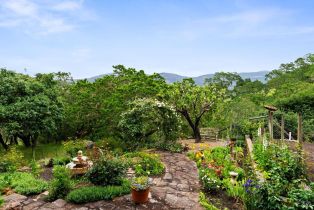 Single Family Residence,  1st avenue, Napa, CA 94558 - 33