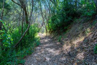 Single Family Residence,  Alpine road, Santa Rosa, CA 95404 - 27