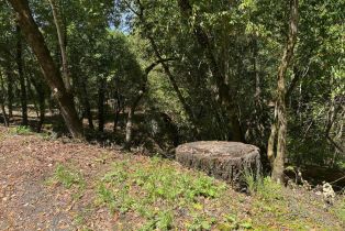 Residential Lot,  Canyon road, Russian River, CA 95436 - 5