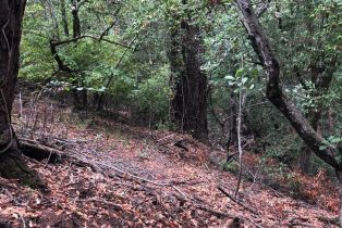 Residential Lot,  Canyon road, Russian River, CA 95436 - 8