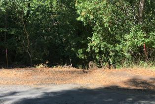 Residential Lot,  Canyon road, Russian River, CA 95436 - 13