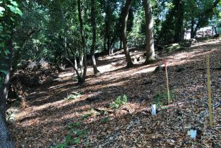 Residential Lot,  Canyon road, Russian River, CA 95436 - 12