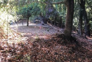 Residential Lot,  Canyon road, Russian River, CA 95436 - 7