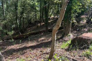 Residential Lot,  Canyon road, Russian River, CA 95436 - 14