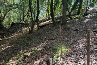 Residential Lot,  Canyon road, Russian River, CA 95436 - 15