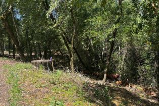 Residential Lot,  Woodside drive, Russian River, CA 95436 - 3