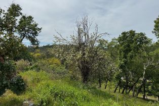 Residential Acreage,  Mark West Springs road, Santa Rosa, CA 95404 - 13