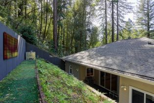 Single Family Residence,  Drake road, Russian River, CA 95446 - 27