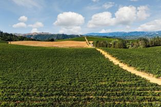 Agriculture,  Dry Creek road, Healdsburg, CA 95448 - 14