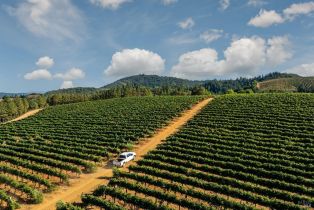 Agriculture,  Dry Creek road, Healdsburg, CA 95448 - 18